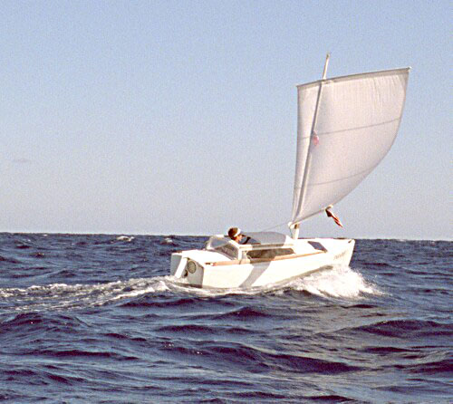 shoal draft blue water sailboat