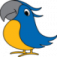 www.jollyparrot.co.uk