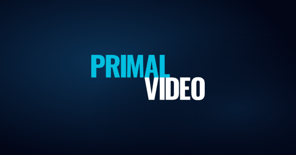 primalvideo.com