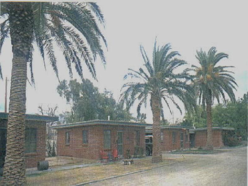 tomeshew.wordpress.com