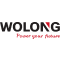 www.wolong-electric.com