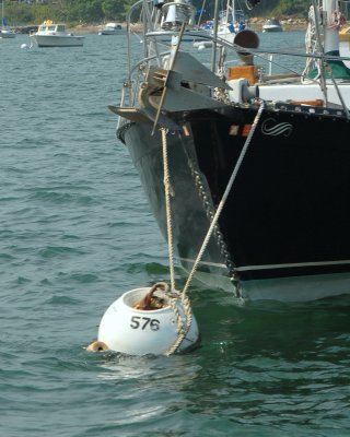 mooring system