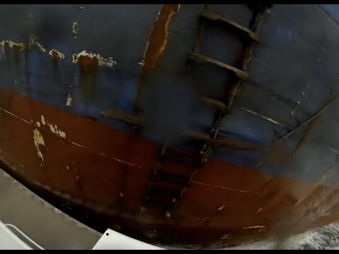 chesapeakebaymagazine.com