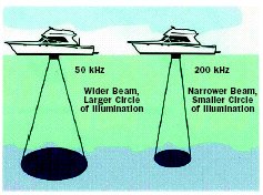 Transducer Frequency